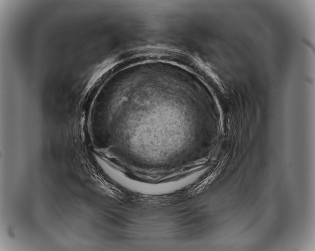 X0000096641352200802191210