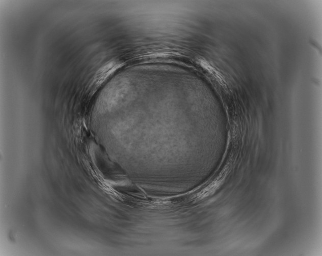 X0000096641353200802191210