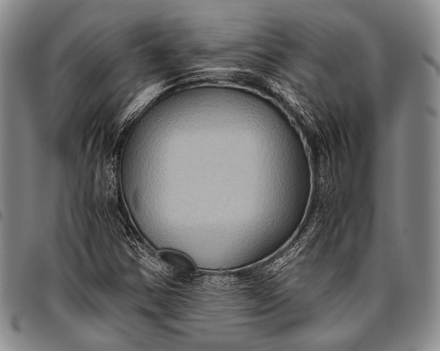 X0000096641354200802191210