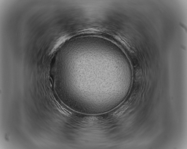 X0000096641355200802191210