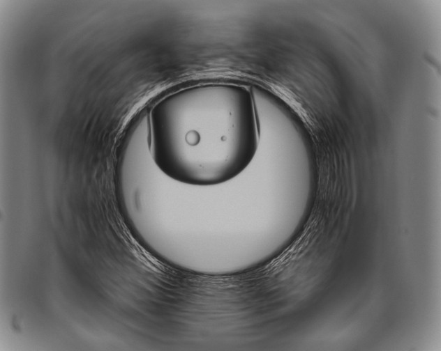 X0000096641356200802191210