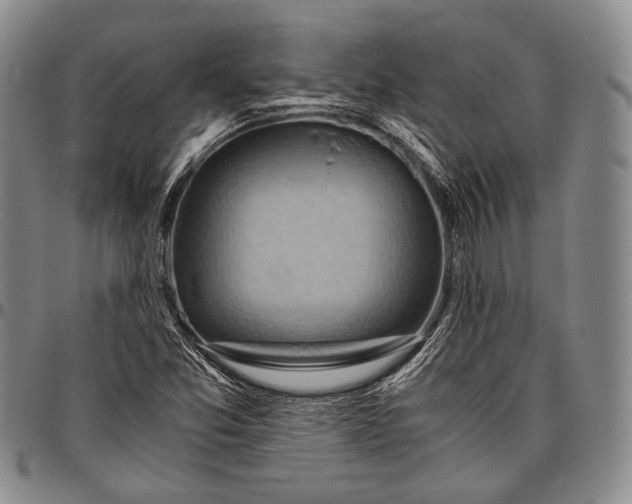 X0000096641357200802191210