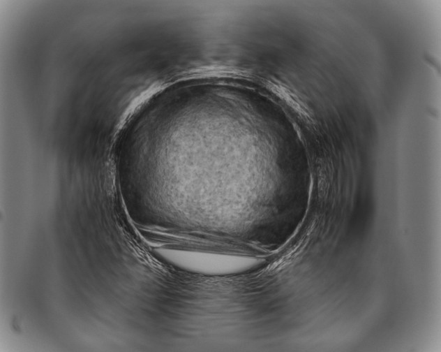 X0000096641358200802191210