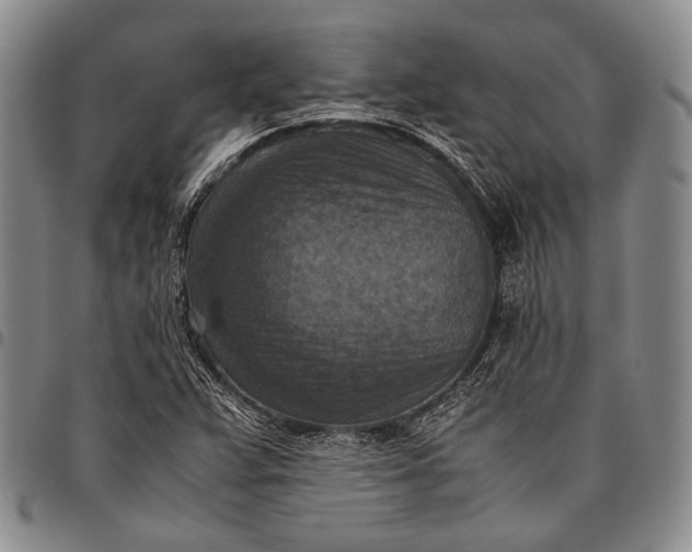 X0000096641359200802191210