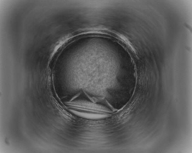 X0000096641360200802191210