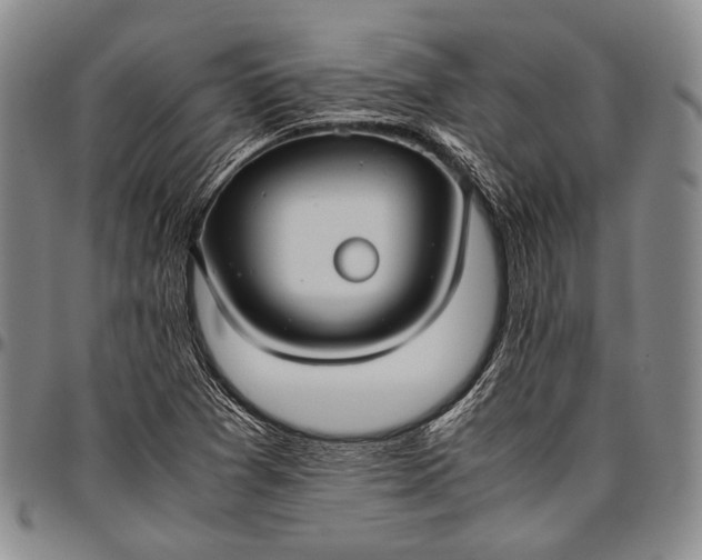 X0000096641361200802191210