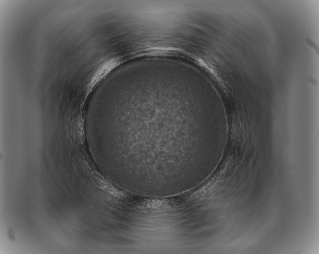 X0000096641362200802191210