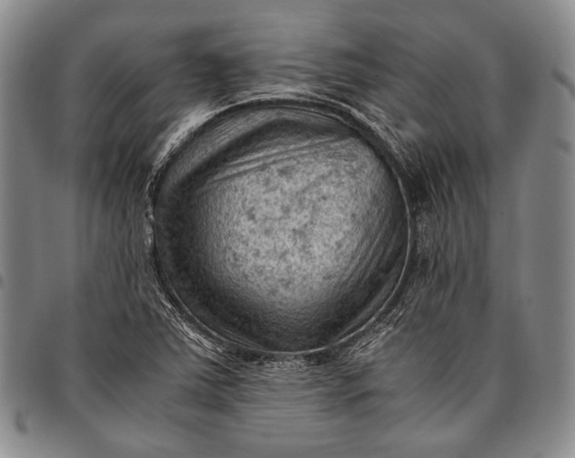 X0000096641363200802191210