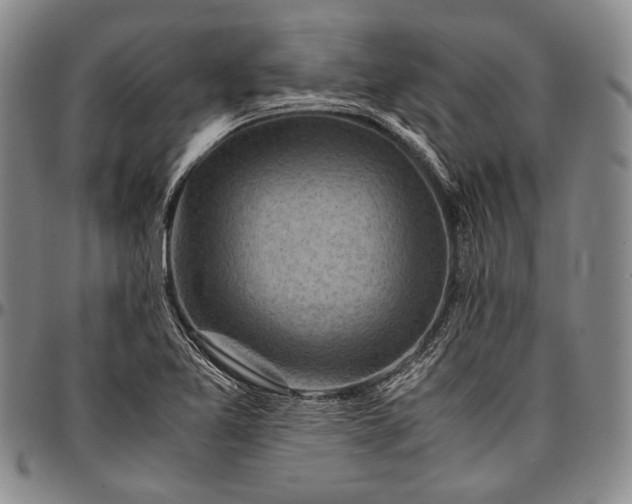 X0000096641365200802191210