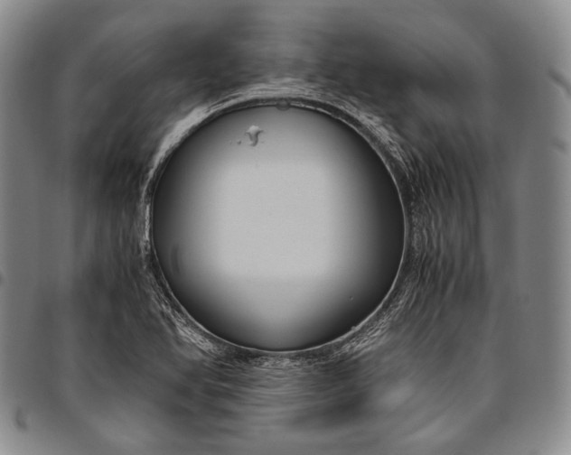 X0000096641366200802191210