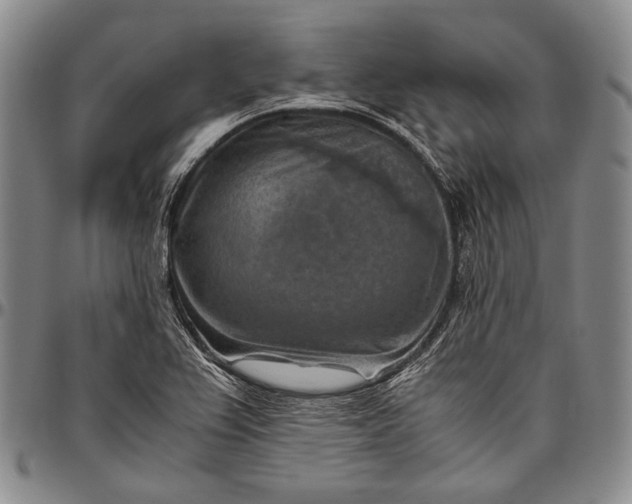 X0000096641367200802191210