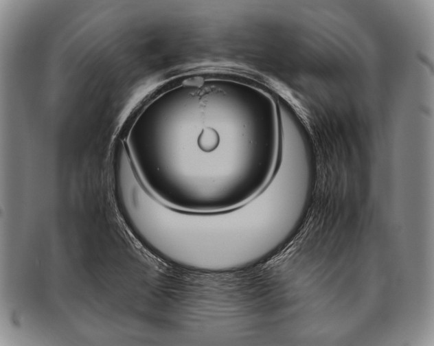 X0000096641368200802191210