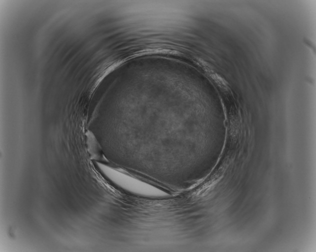 X0000096641369200802191210