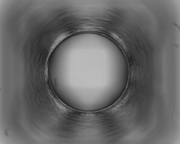 X0000096641370200802191210