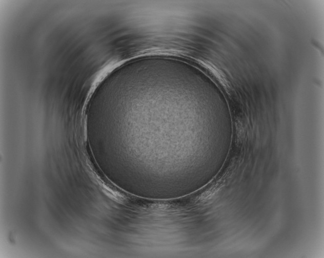 X0000096641371200802191210