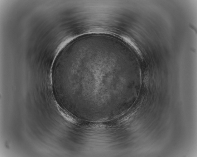 X0000096641372200802191210