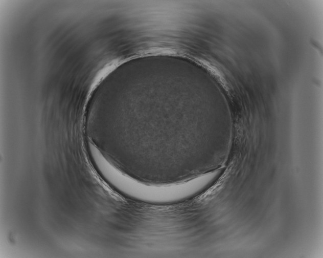 X0000096641373200802191210