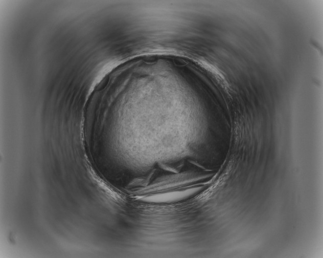 X0000096641374200802191210