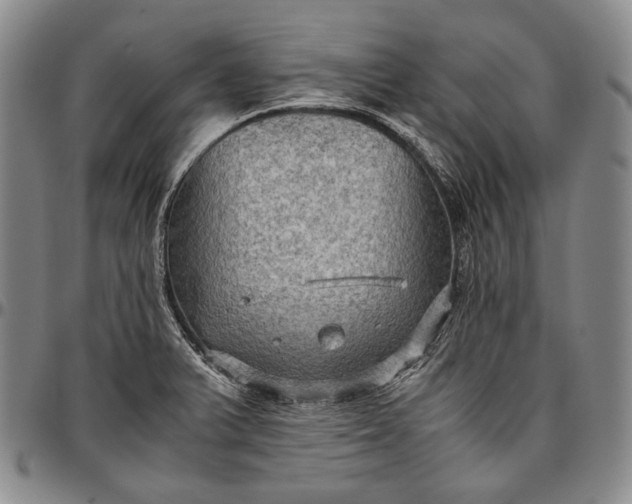 X0000096641375200802191210