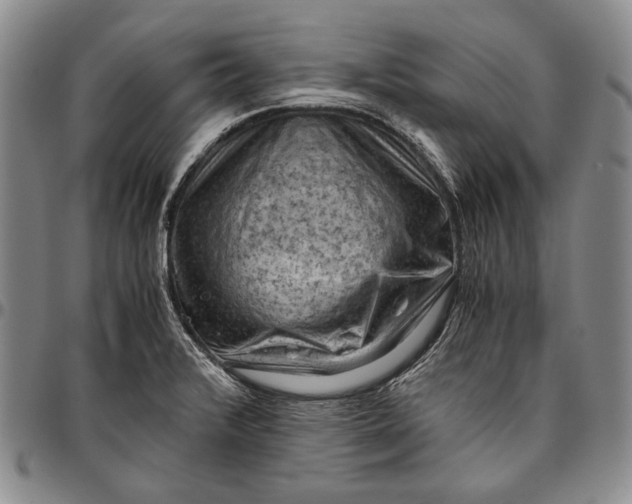 X0000096641376200802191210