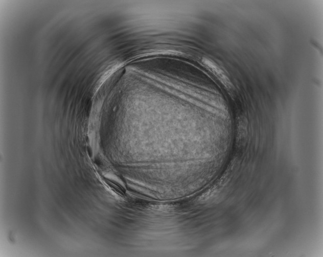 X0000096641377200802191210