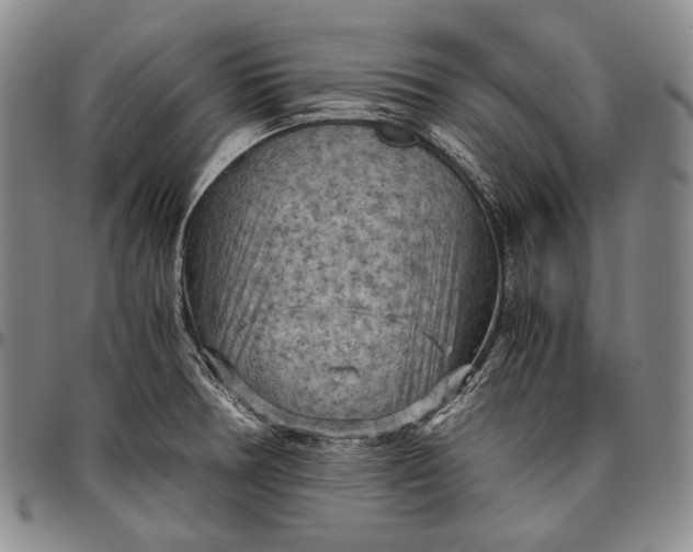 X0000096641378200802191210