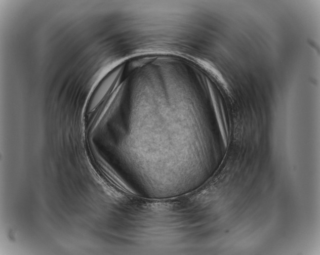 X0000096641380200802191210