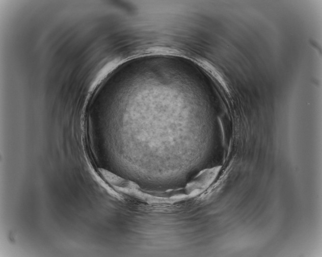 X0000096641381200802191210