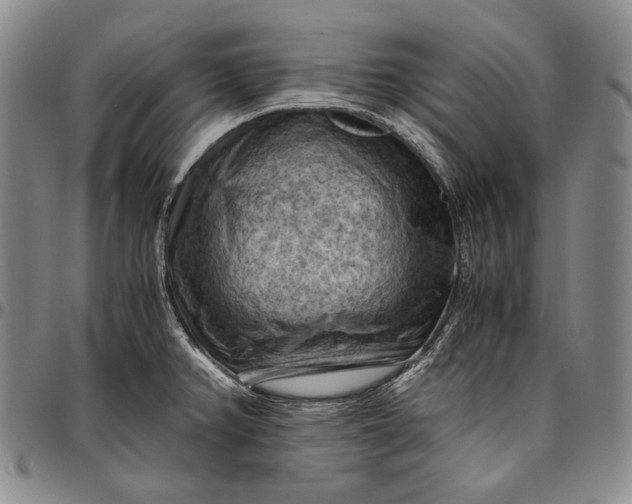 X0000096641382200802191210