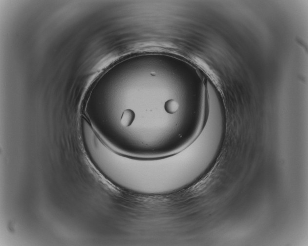 X0000096641384200802191209