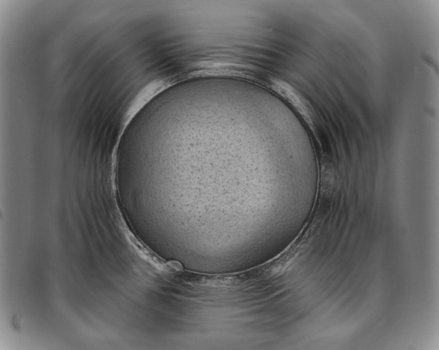 X0000096641386200802191209