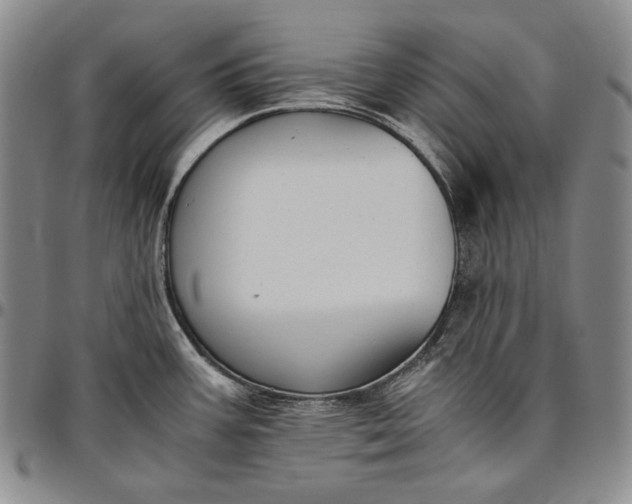 X0000096641387200802191209