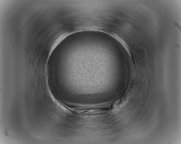 X0000096641389200802191209