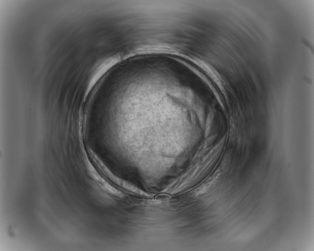 X0000096641390200802191209