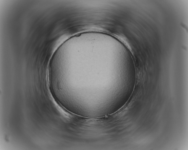 X0000096641391200802191209