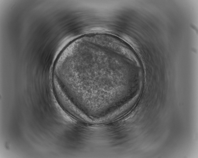 X0000096641392200802191209