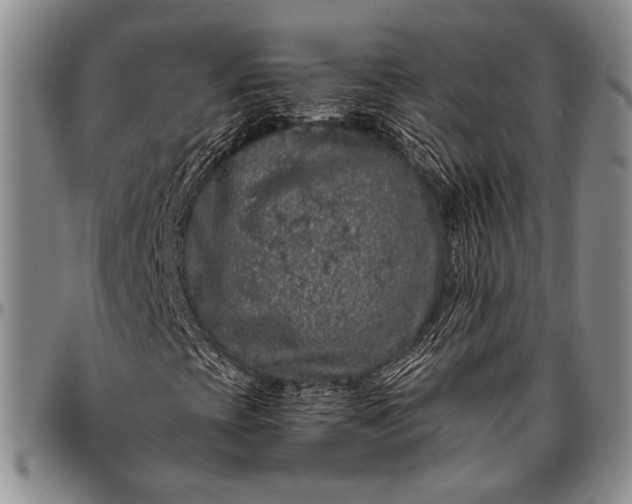 X0000096641393200802191209