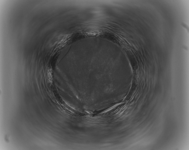 X0000096641394200802191209