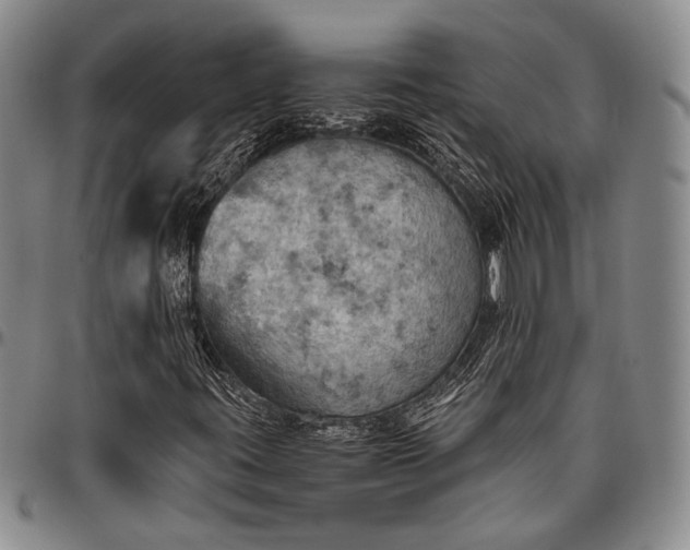 X0000096641395200802191209