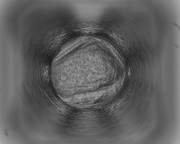 X0000096641396200802191209