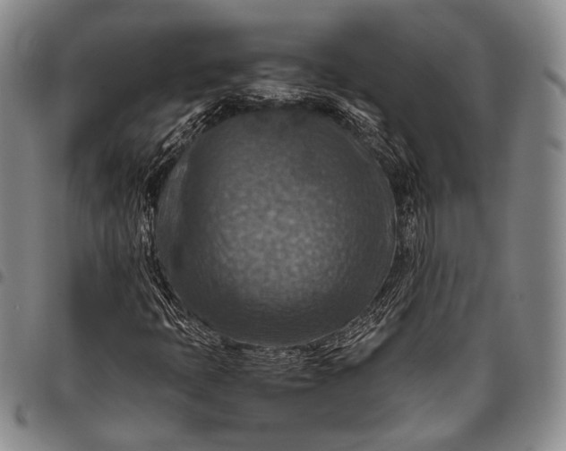 X0000096641397200802191209