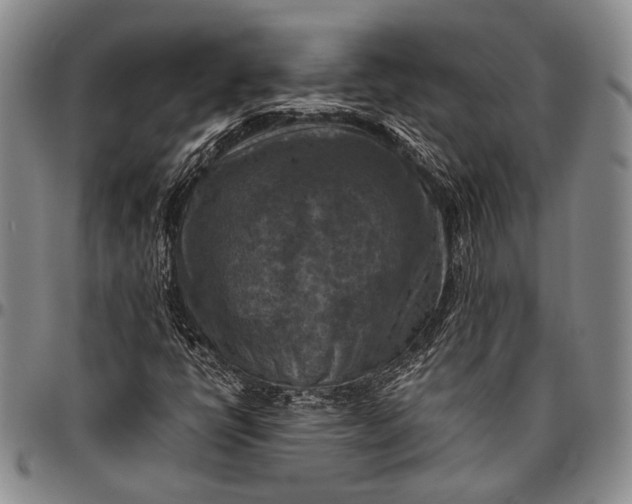 X0000096641398200802191209