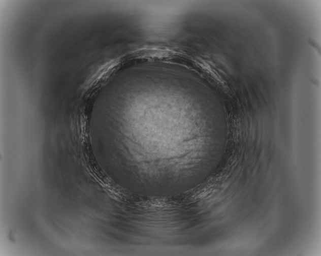 X0000096641399200802191209