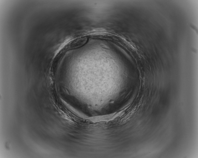 X0000096641400200802191209