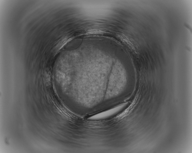 X0000096641401200802191209