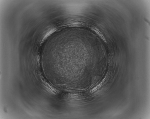 X0000096641402200802191209