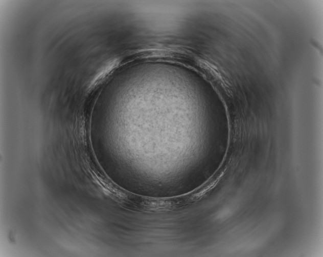 X0000096641403200802191209