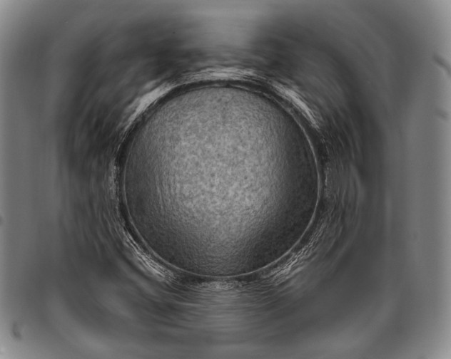 X0000096641404200802191209