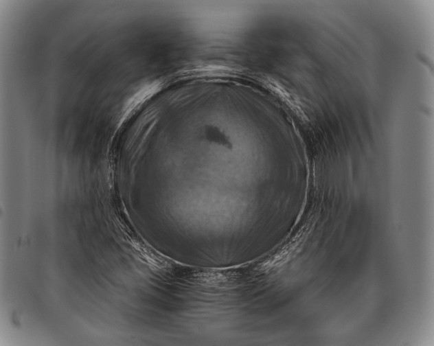 X0000096641405200802191209