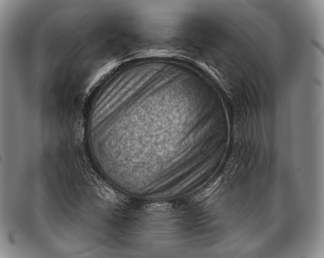 X0000096641406200802191209